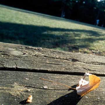 K&K, etc. &eacute;dition, conseil, expertise - Des id&eacute;es pour vos id&eacute;es. www.ketk.fr